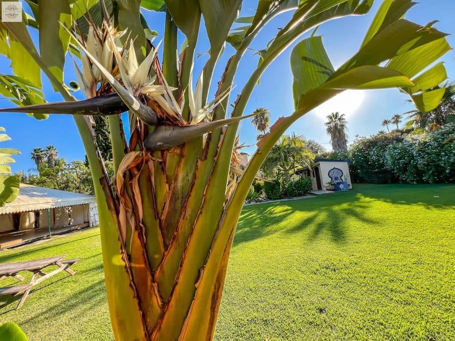 אסטפונה Finca Tierra Sana מראה חיצוני תמונה