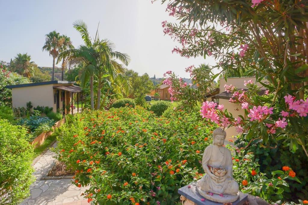 אסטפונה Finca Tierra Sana מראה חיצוני תמונה