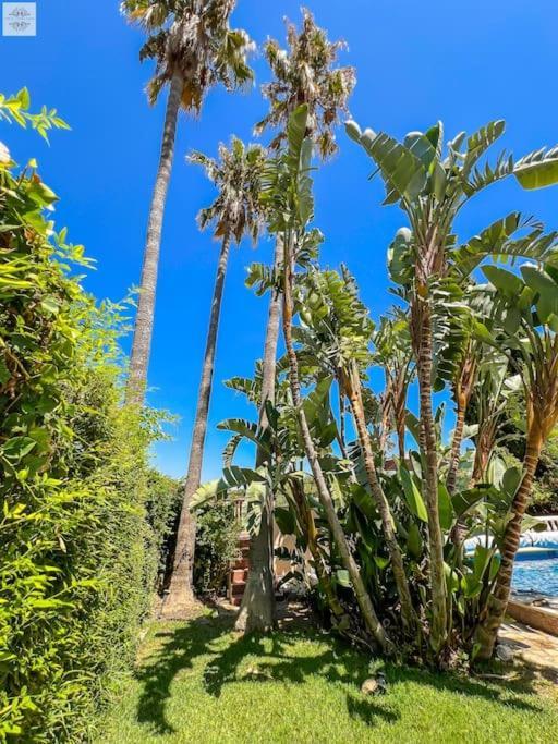 אסטפונה Finca Tierra Sana מראה חיצוני תמונה