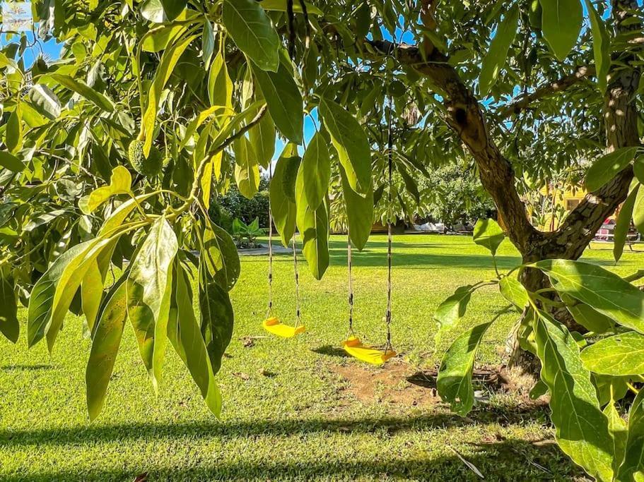אסטפונה Finca Tierra Sana מראה חיצוני תמונה